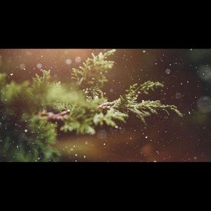 Meet your Posher, Jose